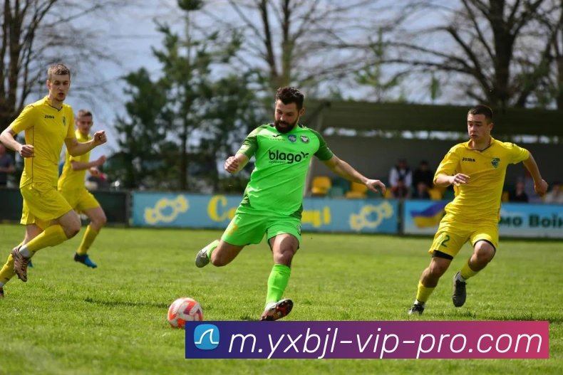 亚星百家乐网站品牌故事