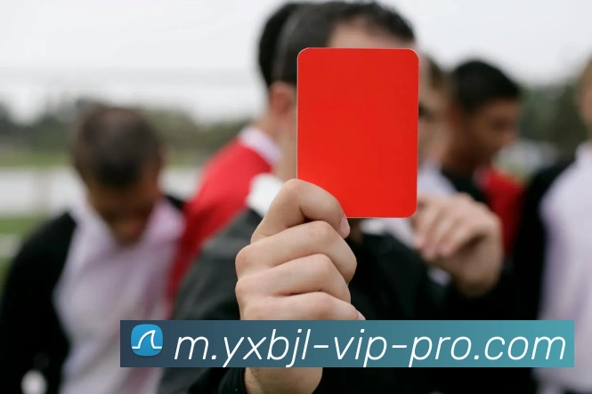 亚星百家乐网站服务体系